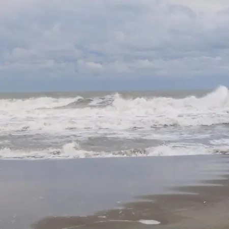 Cmr Saintes-Maries-de-la-Mer